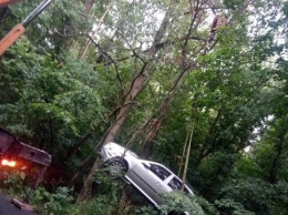 Опасный маршрут на Святогорск: авто слетело с дороги и повисло на деревьях