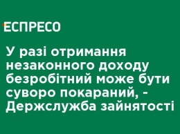 В случае получения незаконного дохода безработный может быть строго наказан, - Госслужба занятости