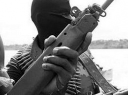 В Нигерии исламисты убили 35 военных