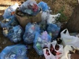 В Мелитополе подростки из мусора соорудили "арт-объект" - что нашли во время уборки (фото)