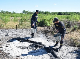 В Новоодесском районе вычислили поджигателя - развел 50 костров (ФОТО, ВИДЕО)