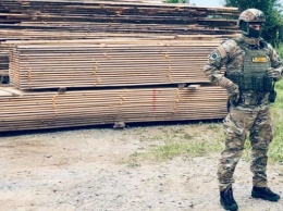На Прикарпатье провели обыски в лесхозах из-за незаконной вырубки