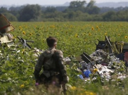ЕСПЧ получил иск Нидерландов против России о крушении рейса MH17