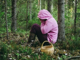 Эксперт назвал девять вещей, которые нельзя делать, если заблудился в лесу