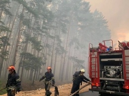 Пожар на Луганщине: названы сроки получения компенсаций пострадавшими