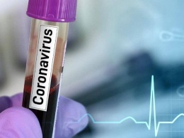 В Запорожье новая смерть от коронавируса