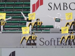 Видео: танцующие робособаки Boston Dynamics заменили болельщиков на бейсбольном матче в Токио
