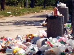 Услугу по очистке мусорных урн в Кривом Роге доверили предприятию без соответствующей техники