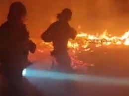 В Одесской области горела заброшенная база отдыха