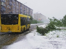 В России заповедник внезапно засыпало снегом посреди лета