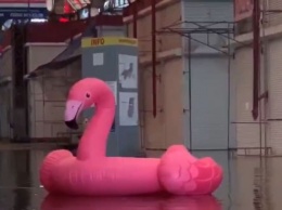 Харьков затопило: по городу плавают машины и розовые фламинго (видео)