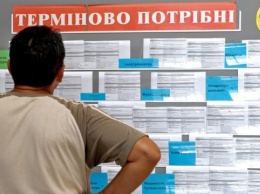 Образовательные платформы и онлайн-ярмарки: как найти работу через киевскую службу занятости на карантине