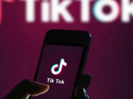 Стало известно, сколько зарабатывают украинские топ-блогеры в ТikTok