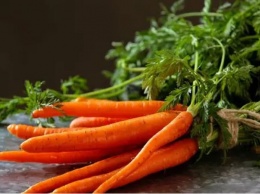 Названы полезные свойства моркови, о которых многие не знают