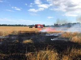 За минувшие выходные в окрестностях Кривого Рога выгорело 20 гектаров территорий