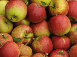 Украинские яблоки подорожают еще больше