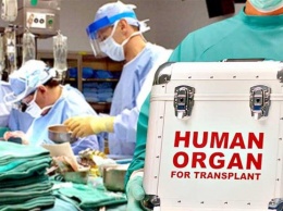 Трансплантация органов: Кабмин утвердил тарифы