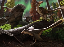 Ученые подтвердили, что динозавры жили на Аляске