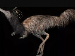 Ученые обнаружили останки динозавра, жившего 66 млн лет назад - его внешность поразила всех