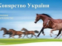 Рейдер и конюх Януковича прибрали к рукам "Коневодство Украины", - СМИ