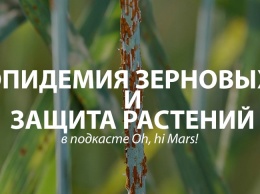 Возможны ли масштабные эпидемии зерновых в наше время? Говорим о защите растений с экспертом