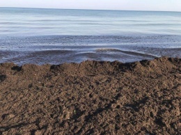 Берег Крыма из-за добычи песка превращается в зловонное болото (фото)