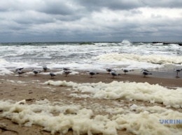 Грязная вода: в Одессе и Затоке "забраковали" пять пляжей