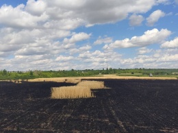 В Купянском районе горело поле пшеницы