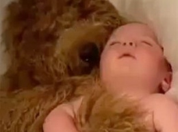 Пользователей очаровали нежные объятья пса и спящего младенца