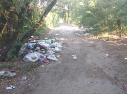 Вблизи берега реки Днепра в Запорожье неизвестные оставили мусора (ФОТО)