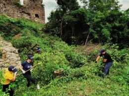 Руины Королевского замка очистили от кустарников и мусора