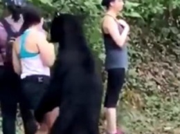 Общительный медведь в Мексике обнюхал туристку и позволил ей сделать селфи