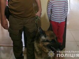 В Киеве по следу пропавшего ребенка пустили собаку
