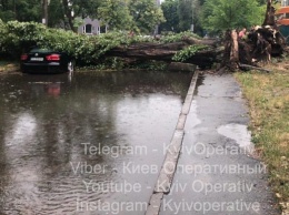 Киев засыпало градом, ливни повредили дорогу