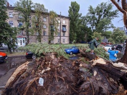 Сломанные деревья и затопленные улицы после грозы в Киеве показали на видео