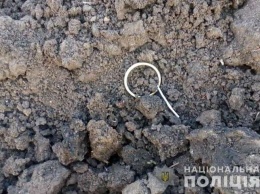 В Запорожской области местного депутата подорвали гранатой