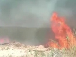 В Кирилловке огонь побирается к базам отдыха (видео)