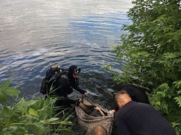 Играл на дамбе и у пал: в Харьковской области утонул 15-летний подросток, - ФОТО