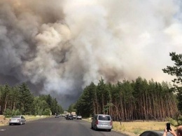 На Луганщине из-за обстрела вспыхнул лесной пожар