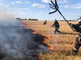 В Томаковском районе на поле горели остатки озимой пшеницы