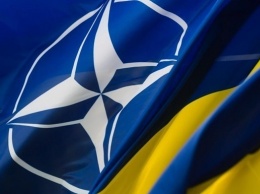 Названы плюсы членства Украины в программе расширенных возможностей НАТО