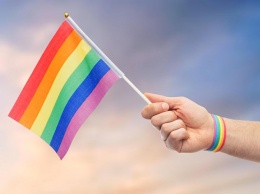 Депутаты хотят «объявить войну» пропаганде гомосексуализма