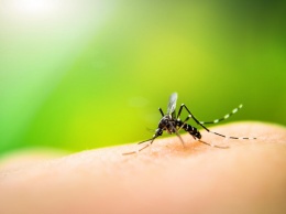 В Одесской области зафиксирован смертельный случай от малярии