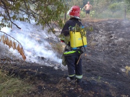 Двадцать пожаров «на природе» произошло вчера на Херсонщине