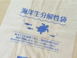 В Японии изобрели пластиковые пакеты, которые будут разлагаться в море. Фото