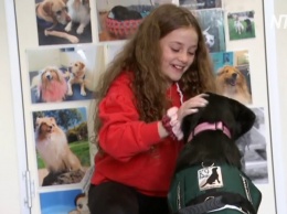 В Австралии собаки помогают детям полюбить учебу