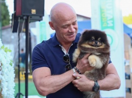 В скандальном "Догтауне" состоялась выставка собак на "Кубок мэра"