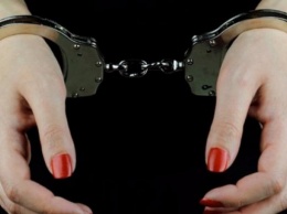 Жесткое задержание женщины полицейскими в Кременчуге расследует ГБР (ВИДЕО)