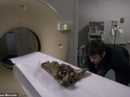 Ученые сделали томографию древнего черепа крокодила и были поражены