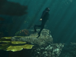 Игрок в GTA Online продемонстрировал идеальное погружение под воду, прыгнув с высоты 2,4 км